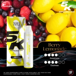 jues 5000 puff berry lemonade