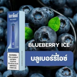 Ks Quik 6000 Puff Blueberry Ice (บลูเบอร์รี่ไอซ์)