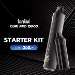 Ks Quik Pro 15k Puff Starter Kit